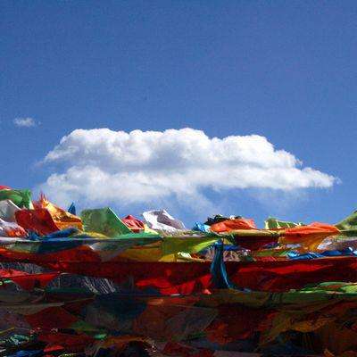 时政微观察丨青藏高原盛开民族团结进步之花